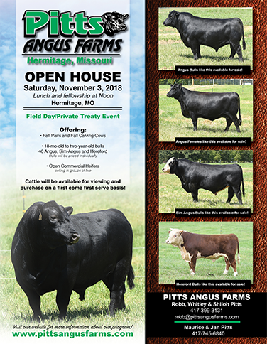 2017 Pitts Angus Sale Catalog