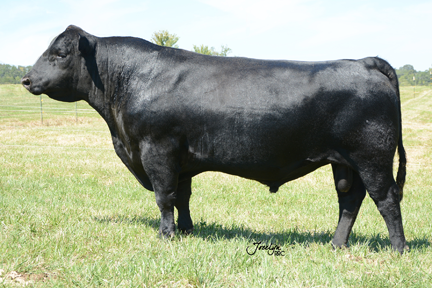 McCabe-ACR Consensus A3119